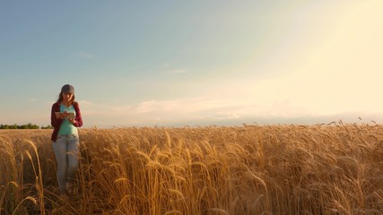 businesswoman with a tablet studies wheat crop in field. Farmer woman works with tablet in a wheat...