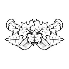 autumn leafs foliage seasonal decoration