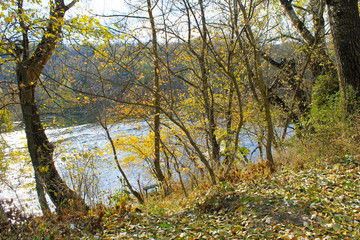 Obraz premium River Southern Bug in Ukraine on autumn