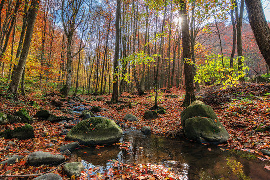 water stream among the rock in forest. beautiful nature scenery on a sunny autumn afternoon. crystal clear brook with some floating leaves. trees in colorful fall foliage. mossy boulders on the shore