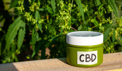 Jar of hemp CBD lotion. Cream from biological and ecological plants of hemp vegetable...