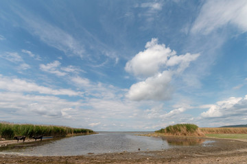 Edirne gala lake national park