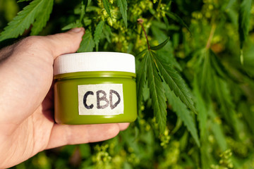 Hemp CBD cream, the doctor hand hold and offers the patient medical marijuana and cream in jar,...
