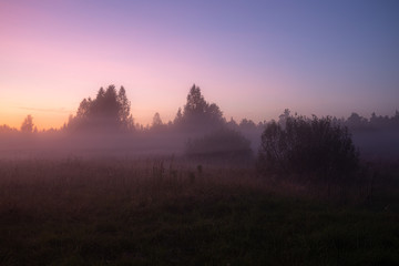 Fototapeta na wymiar foggy sunset in the forest