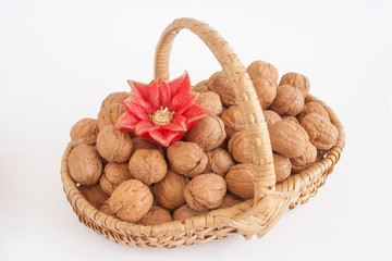 Nuts in a Basket and Flower