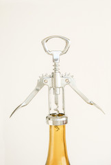 Gymnastic Bottle Opener