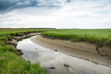 drowned land of Saefthine reserve in Belgium