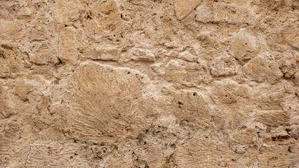 Detail of the outer wall of the Cathedral of Cartagena, built with corals and stones