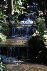 Waterfall in garden