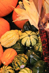 Thanksgiving Background