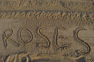 Roses in the sand