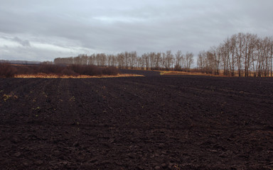 Plowed field. Farmland for farming. Nature concept.