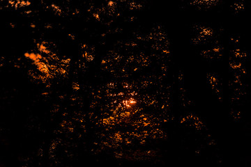 Fototapeta na wymiar Magic sunset ray glow in the forest