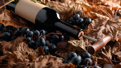 Bottle of red wine with corkscrew. On a table dried vine leaves and blue grapes.