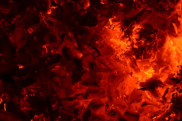  Burning coal with wood as a background.