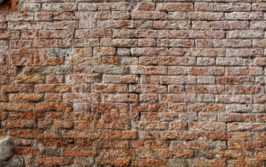 Background from cardboard of old bricks (more brick textures in the portfolio)