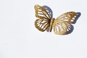 Fototapeta na wymiar a gold butterfly brooch lies on white background