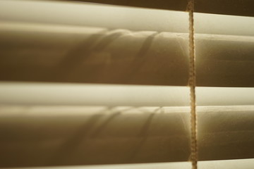 closed horizontal blinds with rope, front view close-up