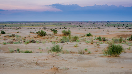 Obraz na płótnie Canvas Sunset in Thar desert Rajasthan in India