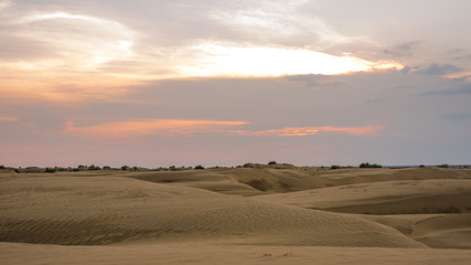 Fototapeta na wymiar Sunset in Thar desert in rajasthan - india
