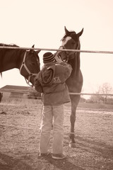 boy stroking two brown horses in the paddock