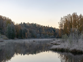autumn landscape with swamp pines, cold autumn morning, frost