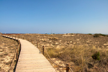 Fototapeta premium road to dunes-Formentera