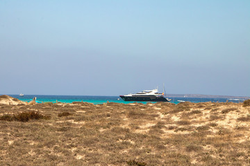Fototapeta premium The road with dunes-Formentera