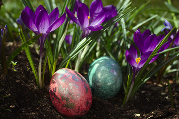 Osterdekoration mit Ostereiern und Krokus