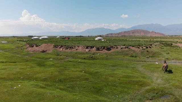 Aerial view of Mongolian steppe countryside with stream, horses and yurts