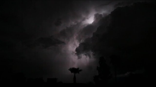Lightening strikes on a stormy night. Scene goes from pitch black to lit up clouds with distant rain and silhouetted trees and palm trees. Several flashes light up clouds some intense strikes too.