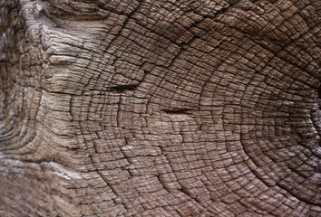 Fototapeta premium Grunge wooden background