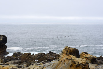 sea and rocks