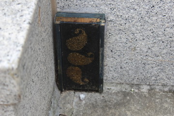 Little Door