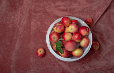 Красные яблоки на бархатном фоне в белом пластиковом ведре