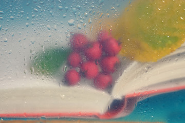 Open book and red autumn berries behind the window in rainy day.