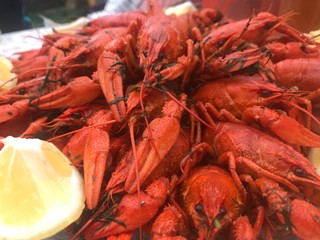 lobster in the market