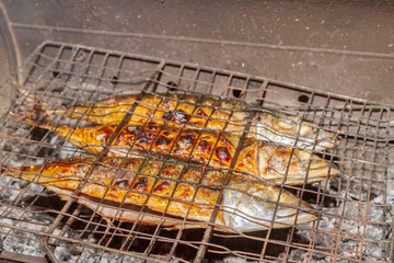 Grilled smoked Golden mackerel fish outside late at night