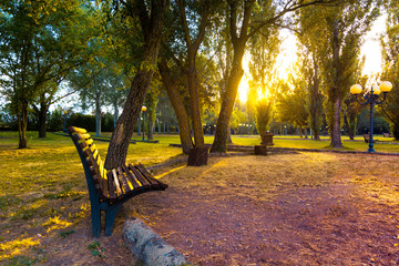 colorful sunlight golden autumn park - 292240991