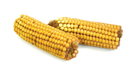 Boiled corn on the cob isolated on white background.