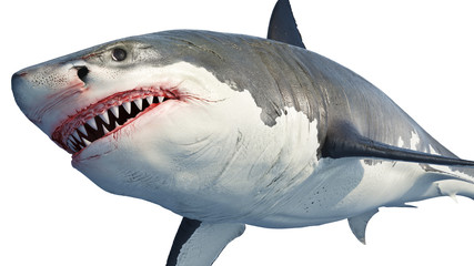 White shark marine big predator, close view. 3D rendering