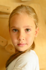 portrait of a cute little girl on a wooden background, close up
