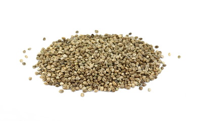Hemp seeds on white background. Super food hemp seed.