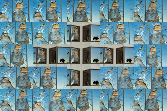 Broken Windows (collage), Abandoned Hotel, Atlanta, Georgia