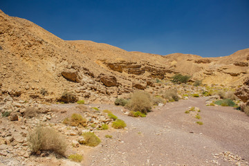 Fototapeta na wymiar Gobi Asian desert sand stone waste land scenery landscape 