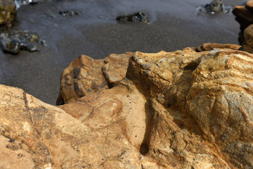 golden coast