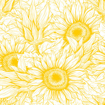 Sunflower hand drawn seamless vector pattern. Blooming flower ink pen yellow texture. Outline sketch illustration. Helianthus vintage freehand drawing. Floral, botanical wrapping paper, textile design