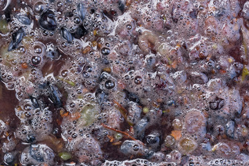 Wine-making. Technology of wine production. The folk tradition of making wine. Wine production in Moldova. The ancient tradition of grape processing.
