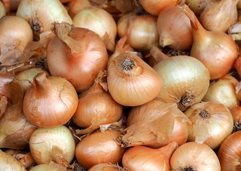 texture of vegetables - onion bulbs