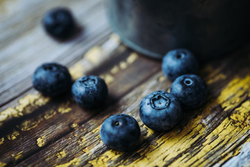 Myrtilles fraichement cueillies au jardin